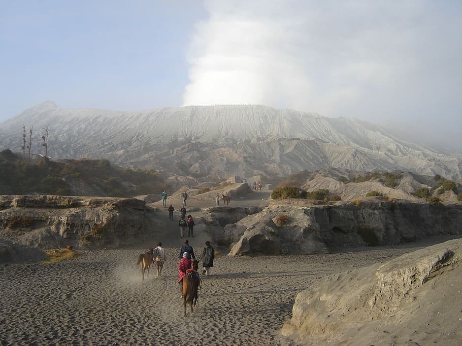 java, indonèsia, volcà, bromo, cràter, muntanya, sortida del sol, paisatge, naturalesa, viatjar, asia, referència, boira, senderisme, tropical, volcànica, aventura, cel, al matí, mount, adult, gent, muntar a cavall, a l'aire lliure, persones reals, medi ambient, activitat d'oci, escenics - natura, bellesa a la natura, grup de persones, estils de vida, homes, dia, terra, vista del darrere, geologia, Serra, 1080P