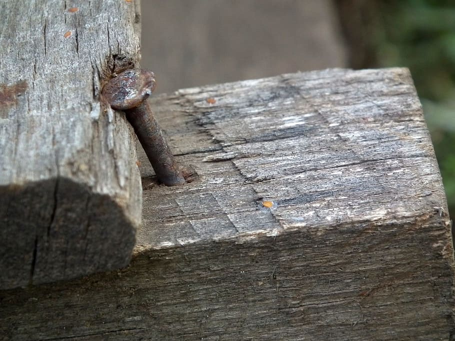 Nagel, alt, Rost, Bretter, Holz, Metall, Konstruktion, Metallwerkzeug, Holz - Material, texturiert, Tag, keine Leute, Nahansicht, rostig, draußen, Baum, Natur, Fokus auf den Vordergrund, Rau, Baumstamm, Kofferraum, High Angle View, Schutz, Sonnenlicht, Brett, verriegeln, 1080P