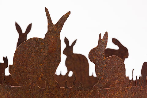 påske, Påske hare, hare ring, laserskæring, metal, rustfri, rusten, skulptur, forår, påske dekoration, figur, sidder, ske, øre, kanin øre, dyr, ingen mennesker, tæt på, himmel, dag, natur, repræsentation, hjort, træ, murbygningsfunktion, væg, kreativitet, udendørs, fest, Brun, skyfri himmel, rensdyr, Kunst og håndværk, dyr repræsentation, ferie, 4K, CC0, offentligt domæne, royaltyfrie