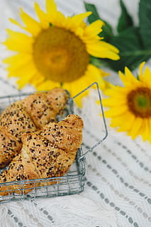 resting, blanket, summer, white, time, holidays, vacations, outdoor, lifestyle, white blanket, outside, sunny, light, croissant, food, yellow, freshness, snack, baked, gourmet, sunflower, table, close-up, no people, flower, indoors, flowering plant, food and drink, plant, still life, ready-to-eat, focus on foreground, selective focus, plate, high angle view, indulgence, sweet food, temptation, flower head, vegetarian food, 2K