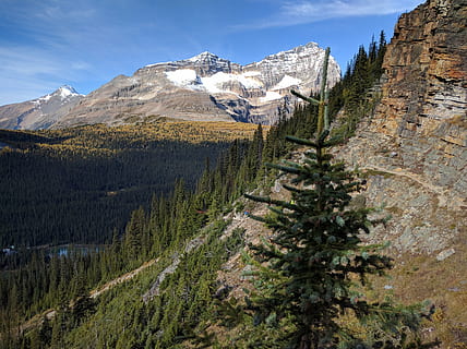 muntanya, muntanyes, alberta, planta, escenics - natura, arbre, bellesa a la natura, Serra, cel, medi ambient, naturalesa, terra, paisatge, pi, cap gent, arbre de coníferes, escena tranquil·la, dia, escena no urbana, temperatura de fred, neu, a l'aire lliure, muntanya nevada, cim de muntanya, bosc de pi, formació, arbre de fulla perenne, 4K, CC0, domini públic, lliure de regalies