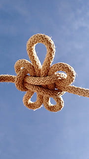 focus photography, pretzel rope, flower, lis, knot, sky, rope, soguín, strength, togetherness, no people, blue, day, close-up, outdoors, low angle view, connection, tied up, nature, pattern, sunlight, tied knot, metal, communication, focus on foreground, cloud - sky, design, tangled, 1080P, CC0, public domain, royalty free