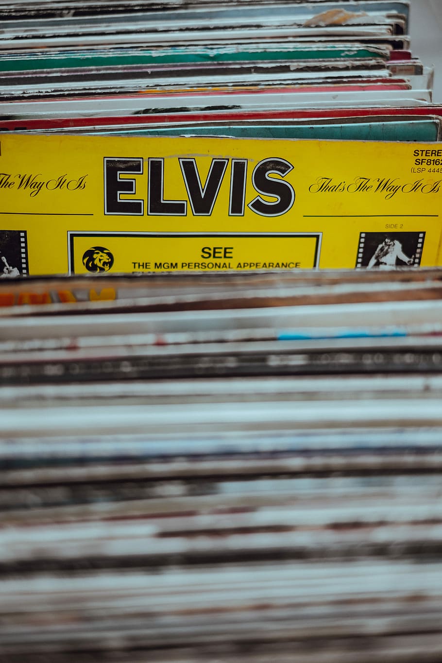 elvis vinyl rukáv, různé hudební rukávy, vinyl, záznam, hudba, elvis, sběr záznamů, zásobník, obchod, karta, 3d, design, zavřít, objekt, počítač, kancelář, sto, sdělení, text, nikdo, západní skript, žlutá, den, venku, detail, architektura, rozmazaný pohyb, velké písmeno, přeprava, způsob dopravy, město, kontejner, podepsat, velká skupina objektů, číslo, selektivní zaměření, 4K