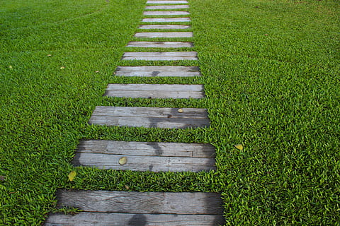 braun, hölzern, Weg, tagsüber, Foto, Gartenweg, Schritte, Garten, Pfad, Natur, Grün, Gehweg, Park, Gartenarbeit, natürlich, draussen, gehen, Sommer-, Landschaft, Gras, Design, Fußweg, Hof, Rasen, Hinterhof, Route, still, friedlich, Anordnung, grüne Farbe, Landwirtschaft, Wachstum, Bauernhof, Feld, ländliche Szene, High Angle View, Pflanze, Tag, Holz - Material, keine Leute, Land, draußen, Richtung, der Weg nach vorn, Ruhe, Sitz, Schönheit in der Natur, in einer Reihe, 5K, CC0, gemeinfrei, lizenzfrei
