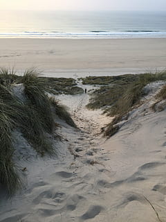 cornwall, sunset, beach, land, sand, sea, water, nature, no people, beauty in nature, sky, tranquility, plant, day, tranquil scene, scenics - nature, outdoors, motion, horizon over water, grass, high angle view, marram grass, 2K, CC0, public domain, royalty free