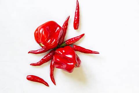 cuinar, paprička, pebre, vermell, espècia, pebrot picant, Xile vermell, menjar i beguda, menjar, fons blanc, vegetals, tir de l'estudi, primer pla, frescor, natura morta, ingredient, a l'interior, cap gent, Xile, benestar, grup d'objectes, vista d’angle alt, 2K, CC0, domini públic, lliure de regalies