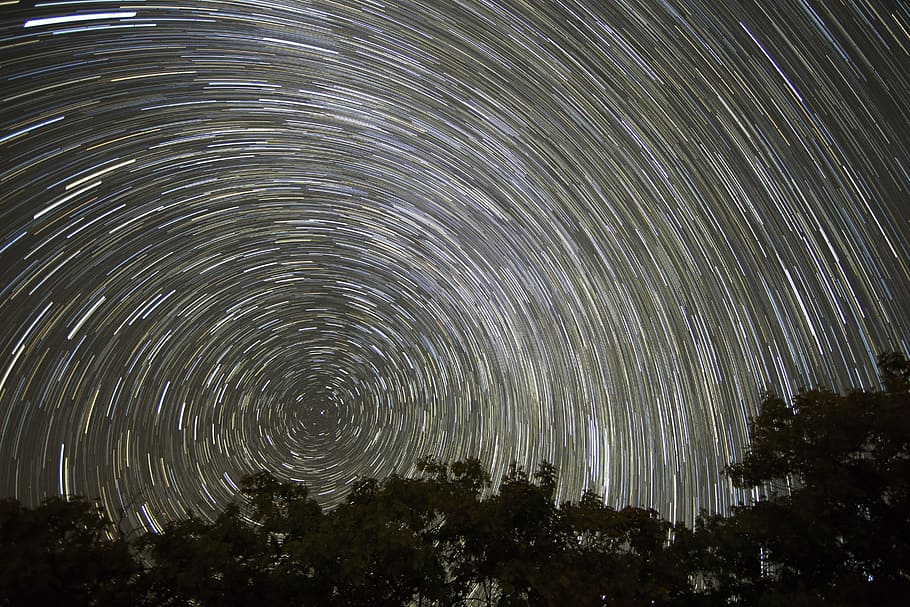 arbres, obres d'art nocturnes estrellades, foto del timelapse, estrelles, espai, cel, arbre, estrella, estel, astronomia, nit, estrella - espai, exposició llarga, moviment, escenics - natura, bellesa a la natura, cap gent, naturalesa, vista d’angle baix, planta, galàxia, tranquil·litat, escena tranquil·la, moviment borrós, espai i astronomia, 5K