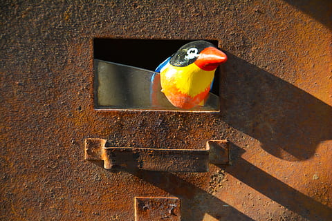 rust, letterbox, fugl, gammel, brev, eske, postkasse, post, metall, rusted, årgang, korrespondanse, landlig, budskap, brun, grunge, retro, landsby, container, landsbygda, rusting, eldgammel, tradisjonell, rustikk, aldrende, antikk, historie, skygger, nostalgi, metallisk, dyr, dyre temaer, virveldyr, ingen folk, dyreliv, dyr i naturen, ett dyr, dag, sollys, papegøye, natur, skygge, perching, tre - materiale, utendørs, nærbilde, veggbyggingsfunksjon, regnbue lorikeet, 5K, CC0, offentlig domene, opphavsrett gratis