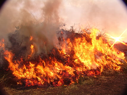 easter fire, easter, fire, burning, fire - natural phenomenon, flame, heat - temperature, nature, smoke - physical structure, motion, orange color, land, no people, sign, communication, environmental issues, environment, glowing, environmental damage, warning sign, outdoors, forest, bonfire, pollution, power in nature, 2K, CC0, public domain, royalty free