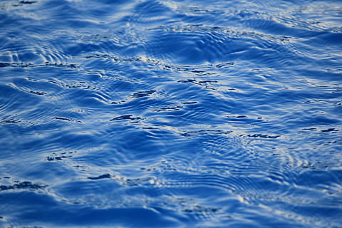 cos d'aigua, aigua, piscina, blau, textura, estiu, aigua blava, onades, marc complet, ondulat, naturalesa, fons, cap gent, davant del mar, vista d’angle alt, dia, patró, tranquil·litat, a l'aire lliure, bellesa a la natura, patró natural, primer pla, patró d'ones, concèntric, 5K, CC0, domini públic, lliure de regalies