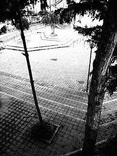 stromy, škola, nádvoří, strom, rostlina, kmen stromu, kufr, pěšina, ulice, den, nikdo, město, Příroda, venku, chodník, architektura, vysoký úhel pohledu, plot, hranice, bariéra, směr, dlažební kamen, dlažební kámen, 2K, CC0, veřejná doména, bez autorských práv