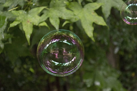 Blase, reflektierend, Reflexion, bunt, transparent, Kugel, Verletzlichkeit, Zerbrechlichkeit, Natur, Tag, Nahansicht, in der Luft, keine Leute, Fokus auf den Vordergrund, gestalten, Seifenlauge, draußen, Baum, Pflanze, Geometrische Figur, glänzend, mehrfarbig, 4K, CC0, gemeinfrei, lizenzfrei