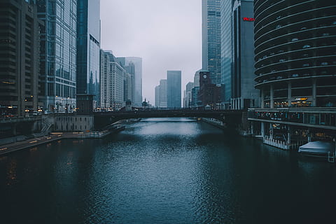 ponte, commerciale, edifici, giorno, foto di messa a fuoco, grigio, calcestruzzo, alto, sorgere edifici, grattacielo, fiume, costruzione, città, nebbia, architettura, lungomare, Torre del marina, Chicago, Casa, finanziario, nube, appartamento, urbano, struttura costruita, esterno dell'edificio, acqua, edificio per uffici esterno, moderno, alto - alto, cielo, natura, connessione, riflessione, nessuno, ufficio, paesaggio urbano, ponte - struttura fatta dall'uomo, all'aperto, distretto finanziario, 5K, CC0, dominio pubblico, privo di copyright
