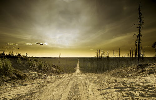 grau, Straße, Bäume, Sand, Himmel, Apokalypse, Wolke, Horizont, Landschaft, draussen, wolke - himmel, Szenen - Natur, der Weg nach vorn, Schönheit in der Natur, Natur, Richtung, Land, keine Leute, Ruhe, Pflanze, Transport, ruhige Szene, Schmutz, Umgebung, Schotterstraße, Nicht-städtische Szene, abnehmende Perspektive, draußen, Kraft in der Natur, 4K, CC0, gemeinfrei, lizenzfrei