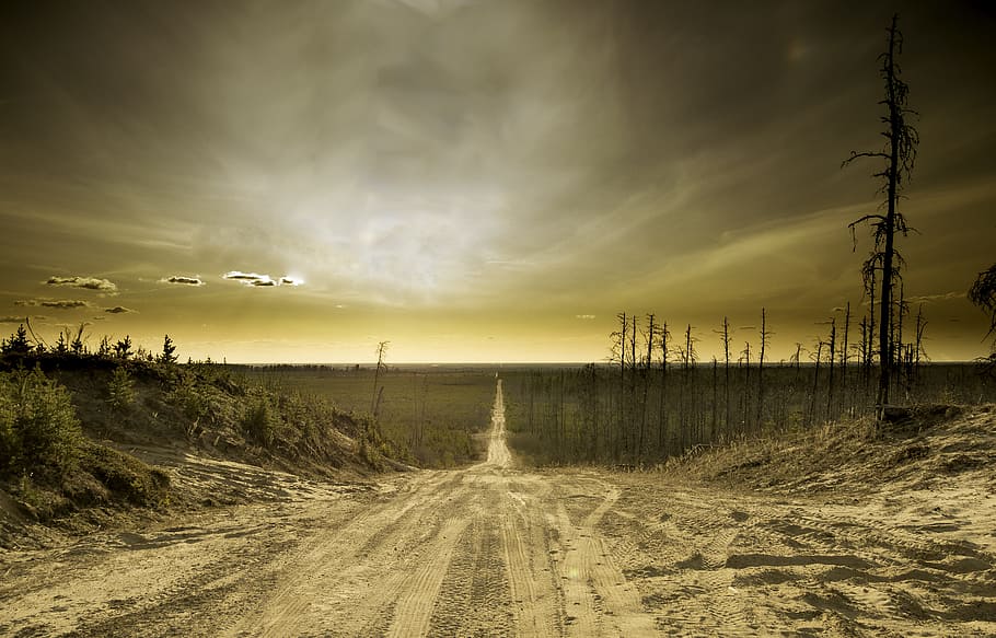 grau, Straße, Bäume, Sand, Himmel, Apokalypse, Wolke, Horizont, Landschaft, draussen, wolke - himmel, Szenen - Natur, der Weg nach vorn, Schönheit in der Natur, Natur, Richtung, Land, keine Leute, Ruhe, Pflanze, Transport, ruhige Szene, Schmutz, Umgebung, Schotterstraße, Nicht-städtische Szene, abnehmende Perspektive, draußen, Kraft in der Natur, 4K