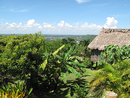 Peru, landschap, wolken, Bos, hemel, bomen, bossen, toneel-, uitzicht, palmen, palm, fronds, planten, gras, huis, hut, land, platteland, landelijk, natuur, buiten, tropisch klimaat, landelijke scène, groene kleur, buitenshuis, landbouw, palmboom, reislocaties, zomer, farm, veld-, Vakantiebestemmingen, fabriek, groei, ingebouwde structuur, wolk - lucht, architectuur, schoonheid in de natuur, scenics - natuur, boom, buitenkant van het gebouw, dag, gebouw, geen mensen, rustige scène, water, land-, horizon over water, 4K, CC0, publiek domein, royaltyvrij