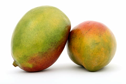 fotografie, dva, zralý, mango ovoce, Pozadí, hořký, snídaně, Jasný, C, stravování, detailní, detail, barvitý, kuchařství, vaření, pár, Lahodné, strava, diety, zdatnost, jídlo, čerstvý, ovoce, dobrý, zelená, zdraví, zdravý, přísada, izolovaný, život, makro, mango, přírodní, živin, výživa, přes, vášeň, kůra, osvěžující, restaurace, salát, sezónní, několik, ještě pořád, letní, sladký, Chutný, tropický, vitamíny, bílý, studio shot, vystříhnout, jídlo a pití, Zdravé stravování, svěžest, blahobyt, bílé pozadí, zelená barva, jablko - ovoce, nikdo, dva objekty, organický, uvnitř, zdravý životní styl, stálý život, Svačina, 2K