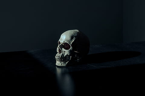 wit, zwart, schedel beeldje, oppervlakte, selectief, focus fotografie, schedel, verdieping, tafel, donker, menselijke schedel, verschrikking, halloween, spookachtig, dood persoon, dood, menselijk bot, menselijk skelet, slecht, angst, zwarte kleur, zwarte achtergrond, één dier, menselijk lichaamsdeel, bot, skelet, binnenshuis, lichaamsdeel, mysterie, stilleven, 4K, CC0, publiek domein, royaltyvrij
