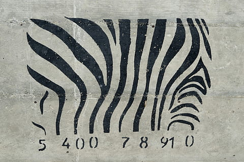 kode, zebra, kaku, jumlah, grafitti, bergaris, satwa liar hewan, binatang di alam liar, satu binatang, tidak ada orang, hewan, warna hitam, tema binatang, merapatkan, tanda binatang, hari, pola, di luar rumah, mamalia, kreativitas, fitur dinding - bangunan, bertulang belakang, teks, tampilan sudut tinggi, seni dan kerajinan, 4K, CC0, domain publik, bebas royalti