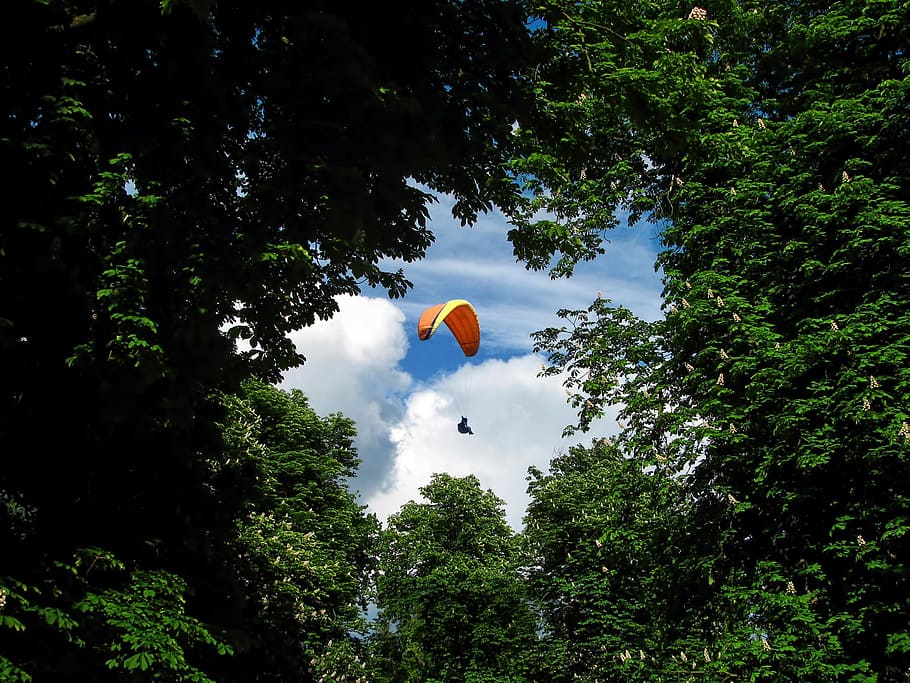 žemas, kampinio vaizdo nuotrauka, asmuo, naudojant, parašiutu, sklandytuvas, paragliding, plūdė, slysti, vėjas, Sportas, miškas, glade, pavasaris, medžiai, kaštonas, mėlyna, dangus, skristi, Ekstremalus sportas, parašiutininkas, debesys, vasara, varzybos, išlipimas, oro sportas, projektas, medis, skraidantis, vidurio oro, nuotykius, Laisvalaikio veikla, lauke, dieną, augalų, žemas kampo vaizdas, augimą, pobūdį, žalia spalva, grožis gamtoje, balionas, debesis - dangus, nėra žmonių, 1080P