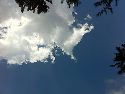 arbre, núvols, branques, marc, arbres, cel, escena, hivern, núvol - cel, naturalesa, cloudscape, temps, escenics, vista d’angle baix, bellesa a la natura, tranquil·litat, dia, planta, cap gent, escena tranquil·la, a l'aire lliure, escenics - natura, llum solar, blau, creixement, arbre d’arbre, fons, idíl·lic, medi ambient, meteorologia, 2K, CC0, domini públic, lliure de regalies