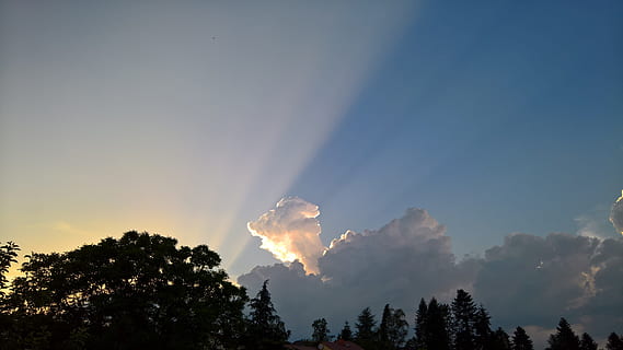 núvols, tempesta, sol, llum, cel, l'estat d'ànim del temps, gewitter stimmung, dramàtica, núvols d'estiu, temps, naturalesa, arbre, planta, bellesa a la natura, núvol - cel, tranquil·litat, creixement, cap gent, a l'aire lliure, escena tranquil·la, escenics - natura, vista d’angle baix, còpia espai, llum solar, dia, bosc, silueta, blau, fum - estructura física, arbre d’arbre, 4K, CC0, domini públic, lliure de regalies