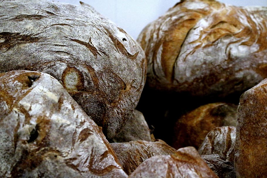 brød, stykker, korn, frisk, mel, bageri, bage, skorpe, fransk, gær, sandwich, skive, surdej, håndværker, konditori, cafe, bistro, ciabatta, tæt på, ingen mennesker, mad, dyr, mad og drikke, dyre temaer, dyreliv, udendørs, tekstureret, natur, dag, dyr i naturen, dyr kropsdel, skal, gruppe af dyr, marine, hav, selektiv fokusering, 5K