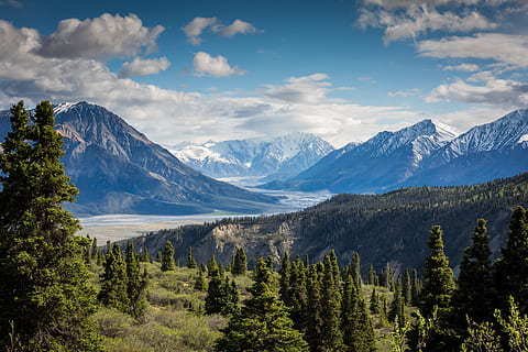 aerial, photography, green, forest, clouds, landscape, mountain range, mountains, nature, scenic, sky, snow, trees, mountain, scenics - nature, beauty in nature, tree, tranquil scene, plant, cloud - sky, tranquility, environment, non-urban scene, no people, idyllic, day, growth, cold temperature, land, snowcapped mountain, outdoors, pine tree, coniferous tree, mountain peak, formation, pine woodland, 5K, CC0, public domain, royalty free