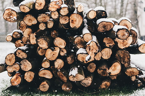 selective, focus photography, firewood, snow, covered, grass, pile, wood logs, tree, stack, snowfall, wood pile, large group of objects, abundance, log, wood, timber, lumber industry, deforestation, no people, wood - material, forest, food, food and drink, nature, heap, day, freshness, fuel and power generation, 4K, CC0, public domain, royalty free