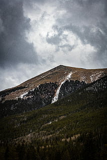 fugl, øje visning fotografering, bjerge, nimbus skyer, lavvinklet billede, tyk, grå, skyer, bjerg, Sky, sne, træer, cloudscape, sky - himmel, himmel, skønhed i naturen, scenics - natur, rolig scene, plante, landskab, ro, natur, miljø, ingen mennesker, dag, jord, ikke-urbane scene, græs, udendørs, lav vinkel visning, 8K, CC0, offentligt domæne, royaltyfrie