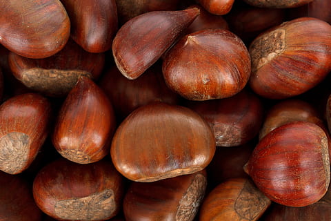grapat de castanyes, tardor, fons, marró, castanya, caure, menjar, fresc, fruita, saludable, macro, molts, nou, temporada, vitamina, patró, fons de pantalla, menjar i beguda, benestar, marc complet, nou - aliments, frescor, alimentació saludable, gran grup d'objectes, abundància, aliments de castanya, natura morta, primer pla, cap gent, avellana, a l'interior, directament a sobre, 4K, CC0, domini públic, lliure de regalies