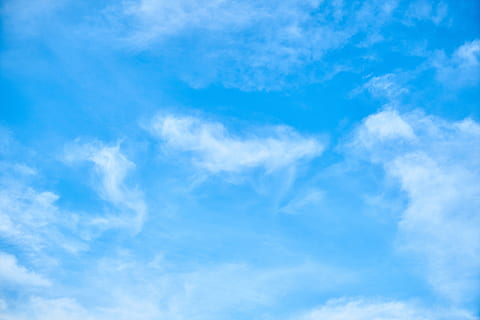 hav af skyer, Sky, blå, sammensætning, utrolig, himmel, skyer, hvid, hvide skyer, natur, landskab, sommer, sol, baggrund, plads, farvebillede, kopiere plads, mønster, detalje, smuk, abstrakt, struktur, ingen, baggrunde, ingen mennesker, miljømæssige, tapet, farve, abstrakt mønster, fotografering, vandret, perspektiv, luft, sky - himmel, skønhed i naturen, scenics - natur, cloudscape, ro, hvid farve, miljø, atmosfære, dag, rolig scene, lav vinkel visning, meteorologi, idyllisk, ren, udendørs, vind, lyse, tekstureret effekt, klima, 5K, CC0, offentligt domæne, royaltyfrie