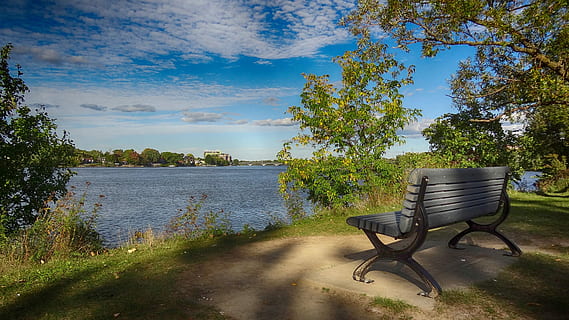 banco, ribera, parque, hierba, otoño, orilla, parque, nadie, árbol, naturaleza, tranquilidad, día, scenics, planta, asiento, agua, cielo, ausencia, vacío, silla, nube - cielo, belleza en la naturaleza, luz del sol, escena tranquila, al aire libre, relajación, silla al aire libre, Banco del parque, 4K, CC0, dominio público, libre de derechos