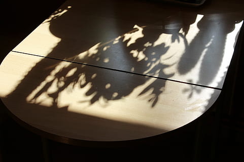 tafel, schaduw, hispanic, fabriek, studio opname, geen mensen, binnenshuis, zwarte achtergrond, natuur, zonlicht, detailopname, water, eten en drinken, dag, dier, voedsel, hoge hoekmening, enkel object, reflectie, dierlijke thema's, vorm, focus op schaduw, 2K, CC0, publiek domein, royaltyvrij