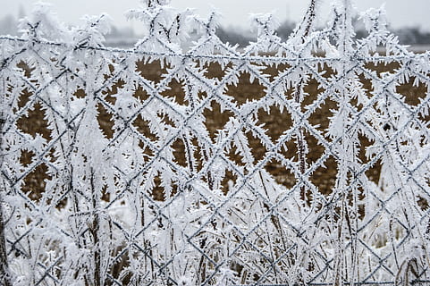 gel, închidere, iarnă, zăpadă, temperatura rece, îngheţat, culoare alba, fundaluri, a închide, gheaţă, nici o persoana, model, natură, să se concentreze asupra primelor elemente, îngheţ, fulg de nea, zi, cadru complet, mediu inconjurator, în aer liber, selectiv, conifer, brad, haine calde, 5K, CC0, domeniu public, fără drepturi de autor