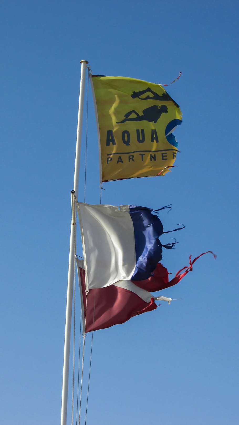 Wind, Flaggen, zerstört, winken, Blau, Himmel, klarer Himmel, draußen, keine Leute, Tag, Flachwinkelansicht, Natur, Flagge, fliegend, Sonnenlicht, Tier, Gelb, Tierthemen, in der Luft, Darstellung, Emotion, Patriotismus, nationale Ikone, 4K