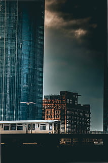 gray, train, passing, high-rise, building, white, bird, flying, along, street, daytime, skyscraper, cloud, overground, subway, motion, seagull, fly, commuter, urban, passenger, contrast, clean, architecture, building exterior, built structure, city, cloud - sky, sky, nature, no people, transportation, mode of transportation, office building exterior, public transportation, outdoors, cityscape, city life, modern, dusk, urban skyline, 5K, CC0, public domain, royalty free