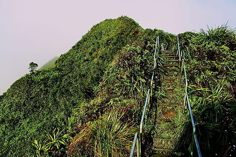 passos, indo, Colina, azul, escada, cercado, plantas, grama verde, cinzento, aço, mão, casos, Escadaria, grama, natureza, cor verde, ao ar livre, panorama, ninguém, clima tropical, árvore, plantar, crescimento, céu, beleza na natureza, dia, visão de baixo ângulo, montanha, tranquilidade, scenics - natureza, terra, cena tranquila, folhagem exuberante, folhagem, floresta, cena não urbana, floresta tropical, 4K, CC0, domínio público, royalty free