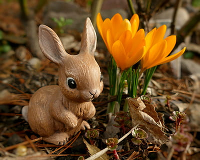 Brun, kanin figur, ved siden af, orange, blomster, påske, Påske hare, hare, figur, sjov, påske dekoration, ferie, sød, nuttet, kanin, natur, dyr, gul, dyre temaer, plante, pattedyr, tæt på, blomst, kanin - dyr, ingen mennesker, dyr repræsentation, blomstrende plante, dag, fokus på forgrunden, repræsentation, fest, jord, dyreliv, 2K, CC0, offentligt domæne, royaltyfrie