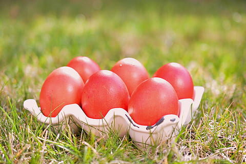 påske, egg, farger, vår, fargeegg, rød, østlig tid, gress, tradisjonen av, påskeegg, grønn farge, mat, mat og Drikke, ingen folk, eple - frukt, friskhet, sport, anlegg, natur, gruppe av objekter, feiring, nærbilde, felt, dag, selektiv fokusering, land, utendørs, våren, 5K, CC0, offentlig domene, opphavsrett gratis