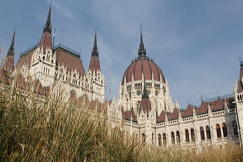 marrón, blanco, catedral, antiguo, arquitectura, budapest, edificio, castillo, ciudad, cultura, luz, Hazme, exterior, famoso, gótico como, gótico, hierba, histórico, históricamente, edificio del parlamento húngaro, Hungría, punto de referencia, Tiro de ángulo bajo, Monumento, al aire libre, parlamento, cielo, turismo, torre, viaje, exterior del edificio, estructura construida, destinos de viaje, naturaleza, el pasado, historia, religión, planta, creencia, nadie, día, lugar de adoración, aguja, gobierno, estilo gótico, 5K, CC0, dominio público, libre de derechos
