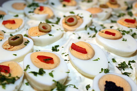uovo, buffet, freddo, delizioso, buffet freddo, cordiale, cibo, benefici da, pasto, nutrizione, mangiare, frisch, pezzi, salutare, gustoso, ovviamente, cibo e bevande, grande gruppo di oggetti, nessuno, piatto, festa - evento sociale, giorno, freschezza, messa a fuoco selettiva, mangiare sano, indulgenza, frutta, pronto a mangiare, in casa, natura morta, avvicinamento, vista dall'alto, cibo dolce, benessere, fotogramma intero, dolce, tavolo, al forno, contorno, tentazione, erba, stile alimentare, 5K, CC0, dominio pubblico, privo di copyright