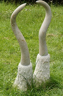 dente, mammut, denti di mammut, oggetto, opera d'arte, arte, oggetto d'arte, piegato, zanne, artificiale, erba, pianta, colore verde, terra, campo, giorno, una persona, natura, crescita, parte del corpo umano, parte del corpo, persone reali, gamba umana, all'aperto, persona irriconoscibile, stili di vita, in piedi, attività di svago, sezione bassa, arto umano, piede umano, 5K, CC0, dominio pubblico, privo di copyright