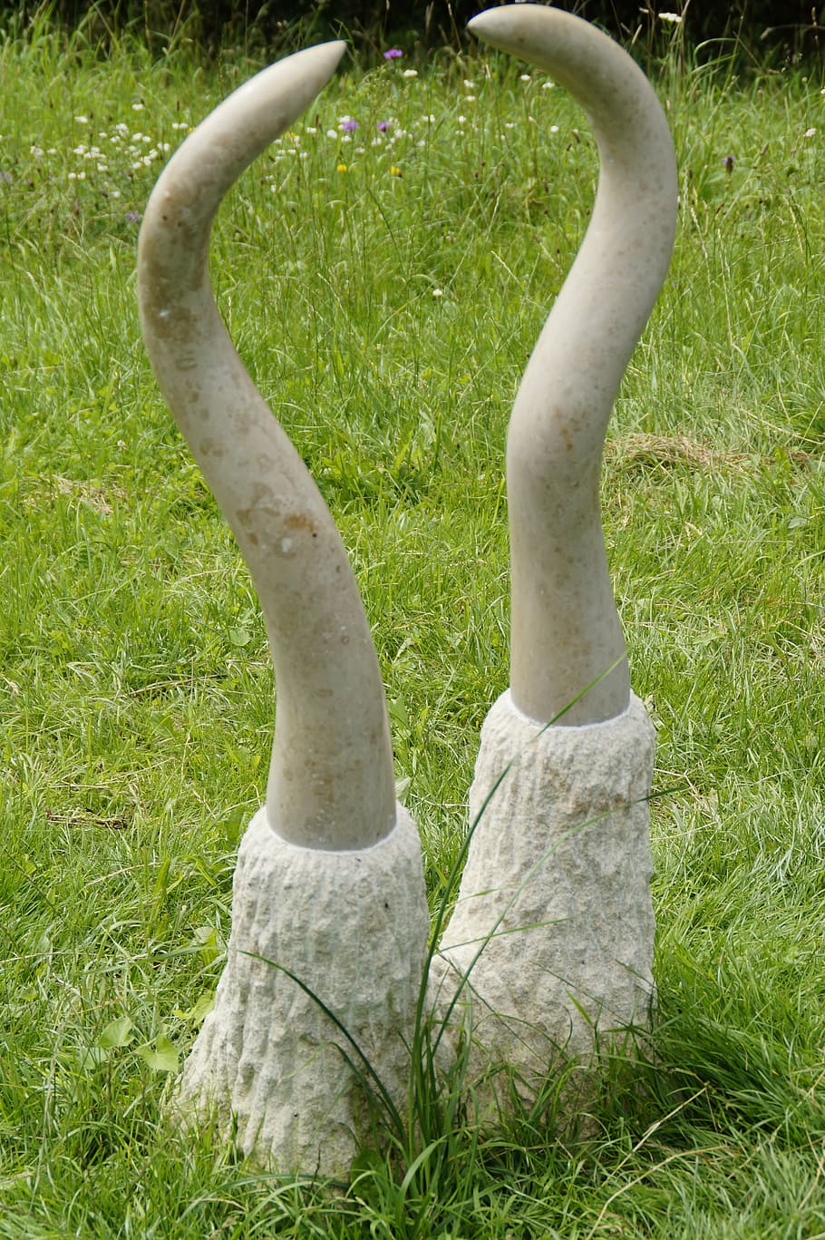 zub, mamut, mamutí zuby, objekt, umělecká díla, umění, umění objektu, ohnutý, kly, umělý, tráva, rostlina, zelená barva, přistát, pole, den, jedna osoba, Příroda, růst, část lidského těla, část těla, skutečných lidí, lidská noha, venku, k nepoznání člověka, životního stylu, stojící, volnočasové aktivity, nízká sekce, lidská končetina, 5K