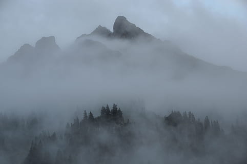 Nebel, Wolken, Berge, Wald, Natur, Landschaft, mystisch, geheimnisvoll, atmosphärisch, alpin, Österreich, vorarlberg, montafon, sogar, Bäume, Himmel, romantisch, Stimmung, Berg, ruhige Szene, Ruhe, Schönheit in der Natur, Szenen - Natur, Nicht-städtische Szene, keine Leute, Land, Baum, Umgebung, Pflanze, idyllisch, Gebirge, Fernbedienung, draußen, dunstig, Gipfel, 4K, CC0, gemeinfrei, lizenzfrei