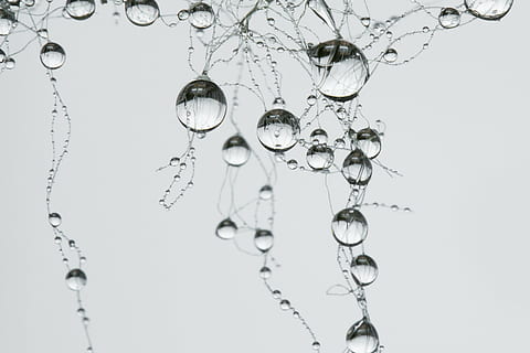 bulles d'eau, laissez tomber, réseau, synapse, perle, gris, goutte de pluie, villa, eau, personne, fermer, à l'intérieur, la nature, transparent, prise de vue en studio, fond blanc, abstrait, forme, pendaison, Forme géométrique, Nourriture et boisson, coupé, pureté, cercle, fraîcheur, réflexion, 2K, CC0, domaine public, libre de droits
