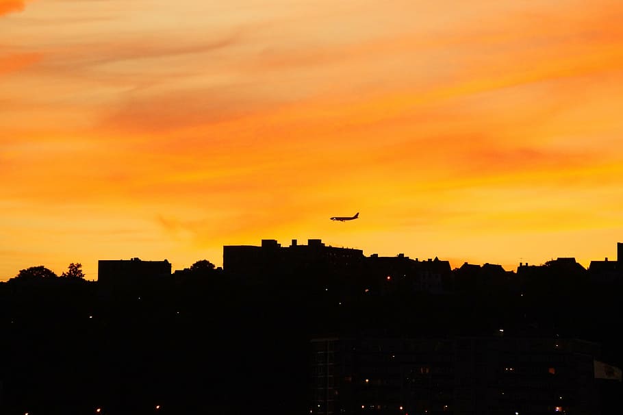 nyc, sera, aereo, tramonto, silhouette, colore arancione, nuvola - cielo, cielo, nessuno, all'aperto, esterno dell'edificio, architettura, città, struttura costruita, volante, natura, bellezza nella natura, costruzione, albero, veicolo aereo, mezz'aria, vertebrato, scenics - natura, paesaggio urbano, 5K