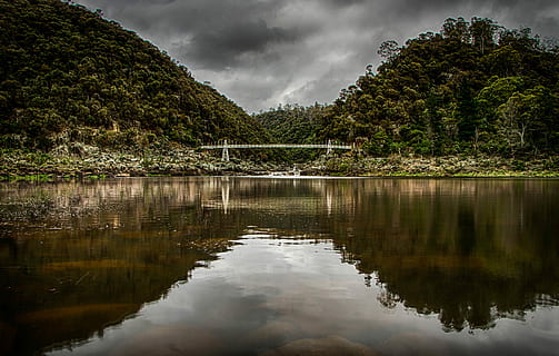 tělo, voda, během dne, fotografie krajiny, zelená, stromy, zataženo, nebe, krajina, odraz, most, jezero, strom, tasmanium, rokle, řeka, mrak - nebe, krása v přírodě, rostlina, scenics - příroda, Příroda, klid, nikdo, životní prostředí, klidné scény, les, venku, zatažený, odraz jezero, 5K, CC0, veřejná doména, bez autorských práv