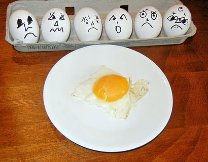 Eier, gekocht, roh, in der Schale, warten, Ei, Essen und Trinken, Tabelle, Lebensmittel, gesundes Essen, Wohlbefinden, drinnen, Eigelb, Frische, Stillleben, Teller, direkt darüber, Spiegelei, fertig für den Verzehr, keine Leute, gebraten, Mahlzeit, weiße Farbe, Frühstück, Nahansicht, Sonnenseite nach oben, 2K, CC0, gemeinfrei, lizenzfrei