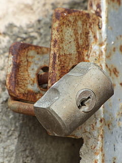cadenat, tancar, vell, rovellat, tancat, prohibit, metall, porta, bloqueig, acer, passat de moda, ferro - metall, primer pla, resistent, cap gent, declivi, seguretat, aixafar, protecció, deteriorament, centrar-se en primer pla, dia, obsoleta, espatllat, entrada, abandonat, pestell, 2K, CC0, domini públic, lliure de regalies